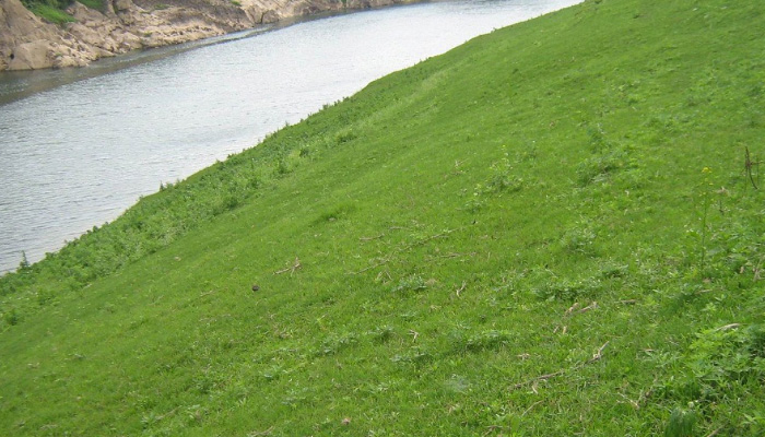 常見護(hù)坡樣式、特點及性能