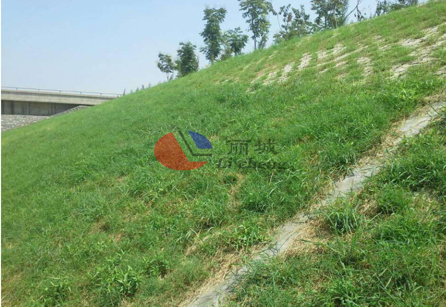 植被對于預(yù)制混凝土護坡鋼模水泥制品更好的起到固土效果